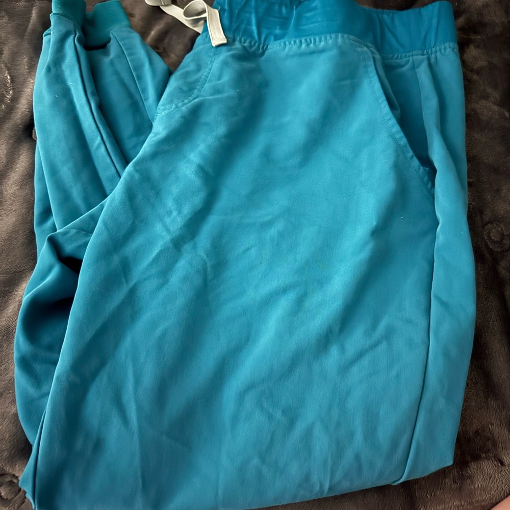 Fig Teal Jogger Pants